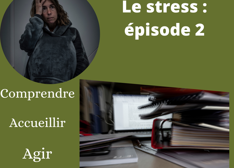 Le stress, l&rsquo;accueillir, le gérer et l&rsquo;évacuer